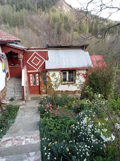 Negociabil! Casa la munte, zona turistica, peisaj superb. Teren 600mp. sat Col?ii de Jos, Buzau - 3