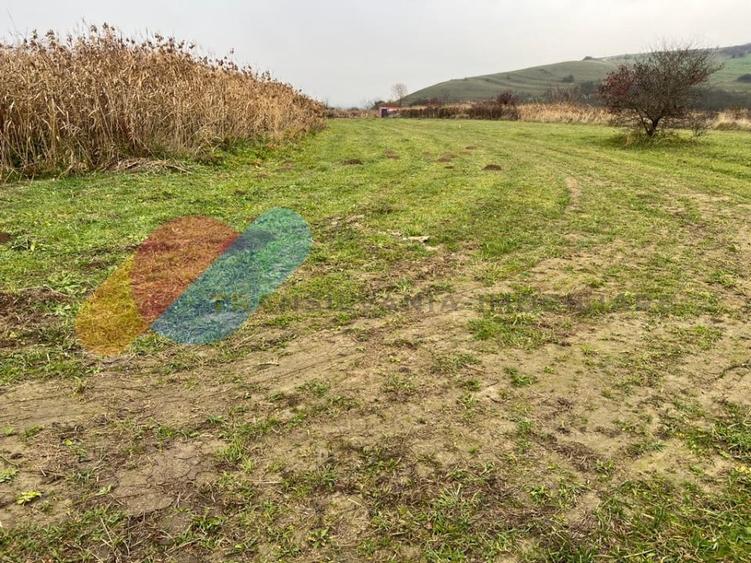 Teren intravilan 2402 mp, cu utilitati, zona Sopor/Borhanci - 3