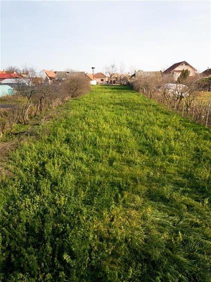 RECO Teren Unicat Sosea Nojorid - 10