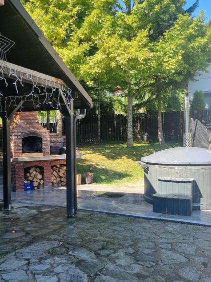 Cabana Colibita cu 18 ari teren - 5