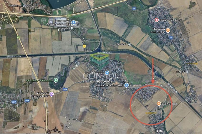 Teren 10 ha | Balaceanca | A2 - 1