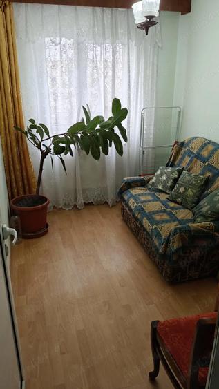 Aparmament cu 3 camere de inchiriat in Campina - 5