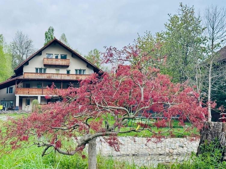 Vila/pensiune/casa Bran panoramica - 1