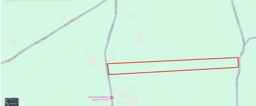 Teren intravilan de vanzare,str.Caisilor,Ardud Vii. - 2