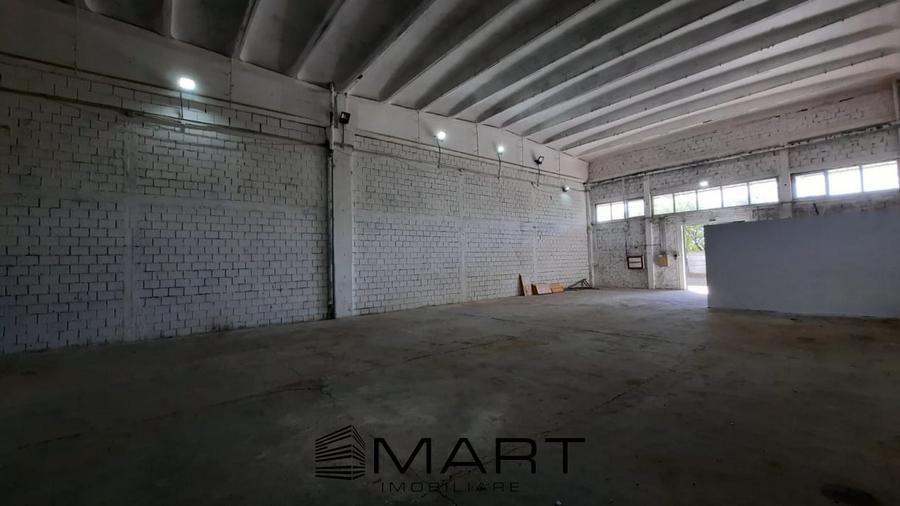 Hala depozitare 800 mp zona Turnisor - 2
