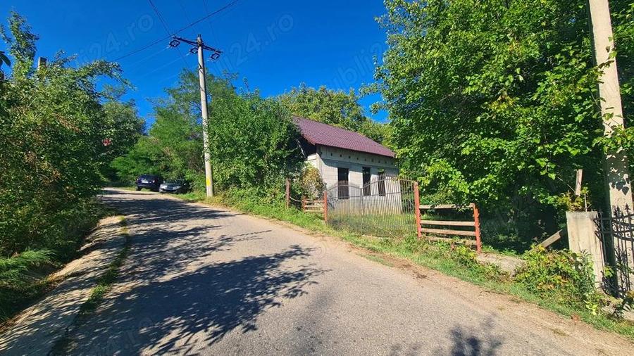 Casa la ro?u + 4391 mp teren de vanzare in comuna Valea Danului, sat Borobane?ti, jude? Arge?. - 13
