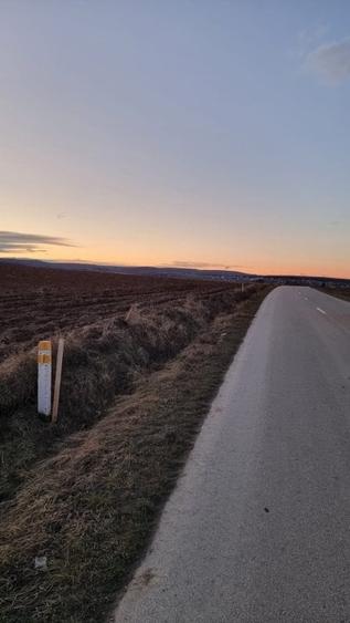 Teren intravilan in Curtesti spre Manastirea Doamnei - 2