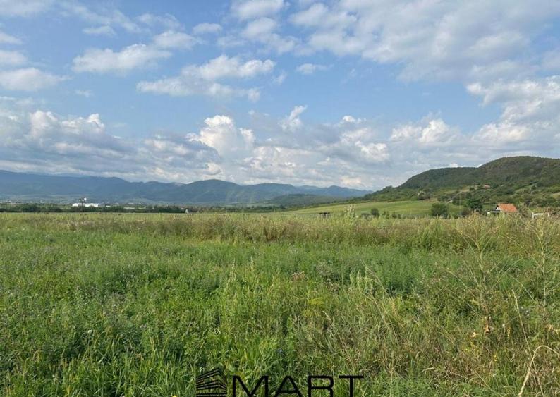 Teren extravilan 4800mp acces auto, Cristian - 1