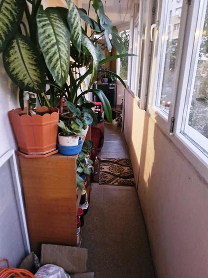 Dristor-Scolarilor - 10