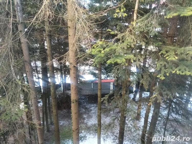 Sinaia inchiriez garsoniera si cabana A frame - 7