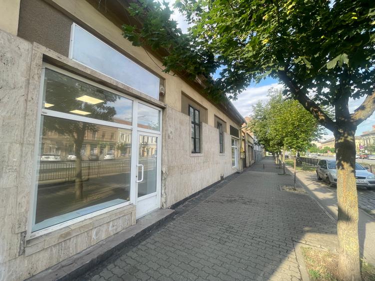 De inchiriat, spatiu comercial, stradal, Iosefin - 4