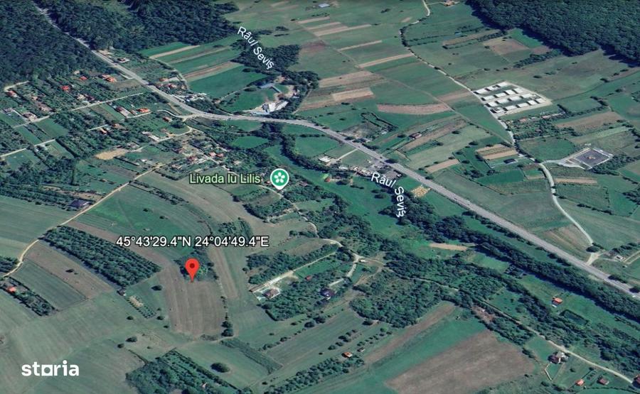 Teren intravilan 6.600 mp Tropinii Noi Rasinari 70 /mp PRIVE - 3