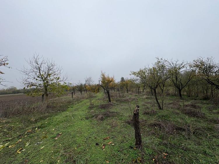 Casa de vanzare Popesti AG - 7