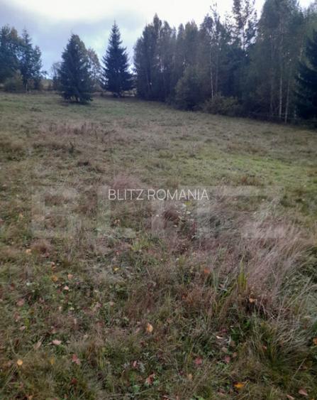 Teren intravilan de vanzare, 2280 mp, Vatra Dornei