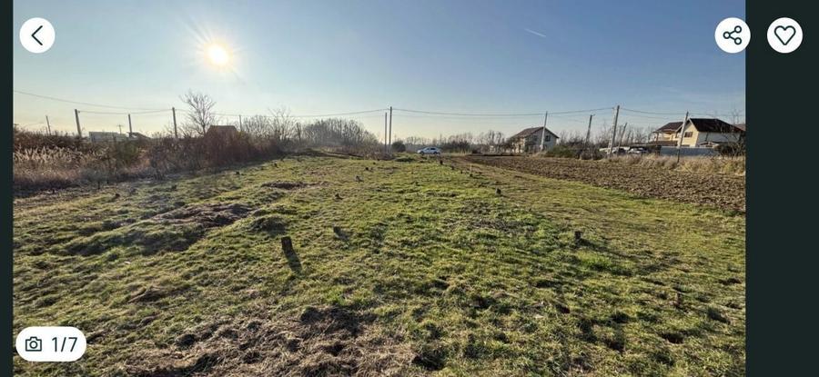 Vand Teren Mosoaia. - 6