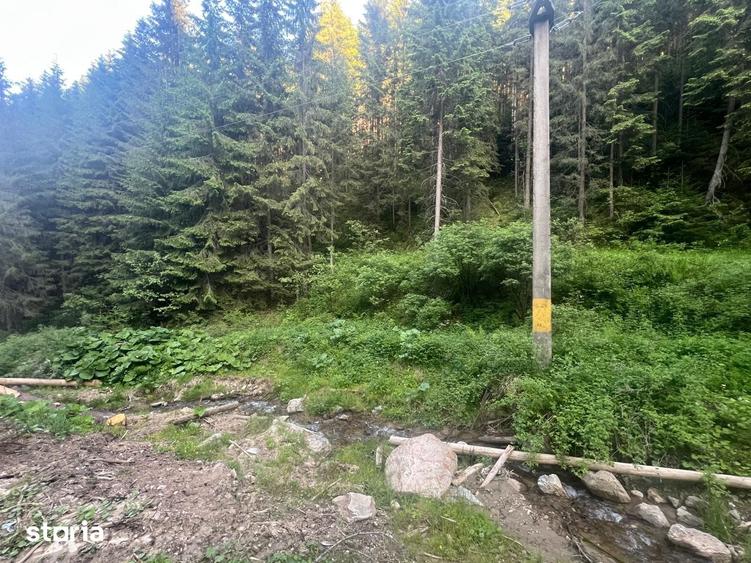 Teren de 500000 mp, în Ciocănești