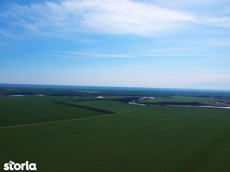 Sat Pope?ti. Curent. Padure. Aer curat, liniste, acces usor Bucuresti. - 5