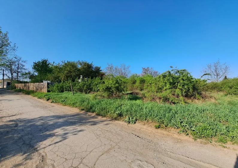 Teren de vanzare 2607 mp Vi?an, com. Barnova, langa Ville Toscana - 3