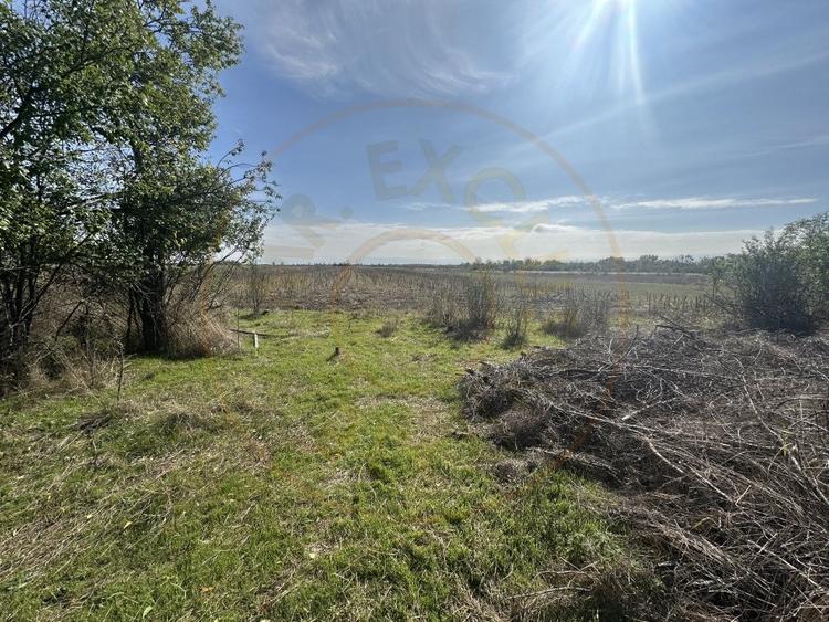 Teren 5216 mp la 2 pasi de autostrada A1 - 6