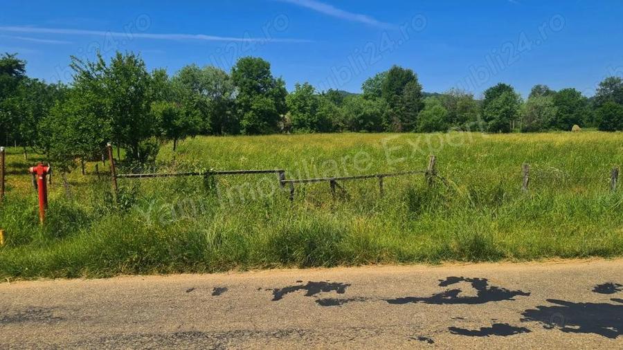 Teren de vanzare in comuna Domne?ti, jude? Arge?. - 3
