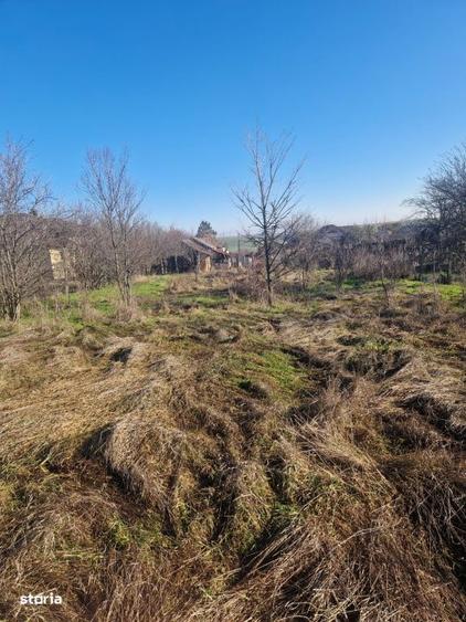 Teren 1528 mp cu casa de vanzare in centrul Ghercestiului Investit - 9