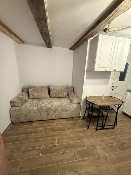 Inchiriez garsoniera NOU LUX, PET FRIENDLY - 6