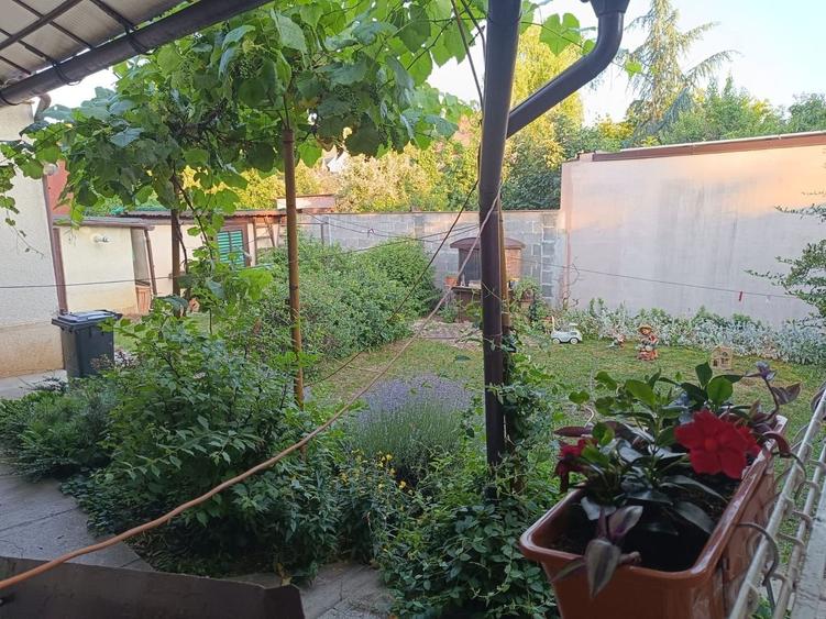 Vila  zona Elisabetin P+2E+M - 41