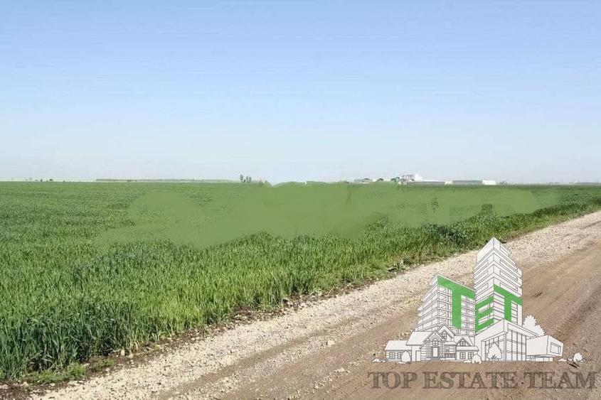 Teren  de vazare pt investitie, Sinesti, 4 eur / mp, 21000mp , Ialomita - 1