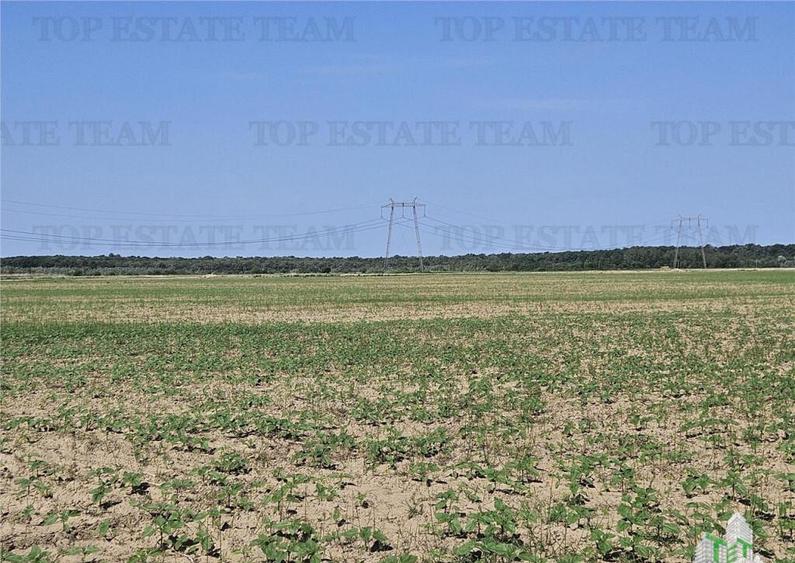 Teren cu pozitionare excelenta la A1, sensul Pitesti Bucure - 11