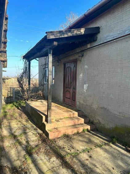 Proprietate de vanzare in Dombegyhaza - Pretabil pentru ferma - 4