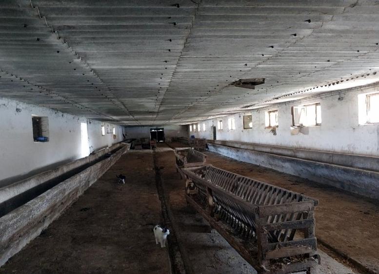 Ferma cu hale 3000 mp si teren 12000 mp, 30 km de Constanta - 1