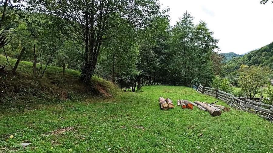 Teren extravilan de 1050mp, Bulz - 1