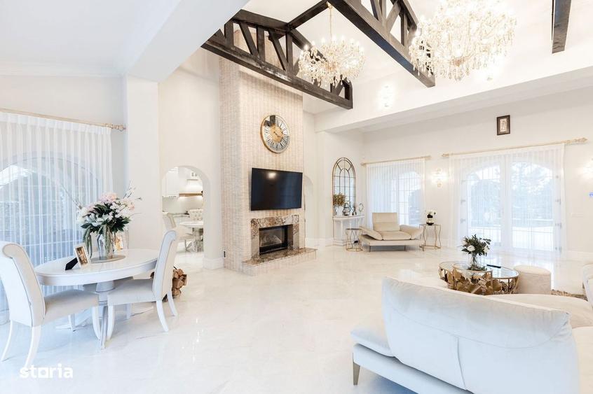 Vila deosebita langa padure in Tunari - 5