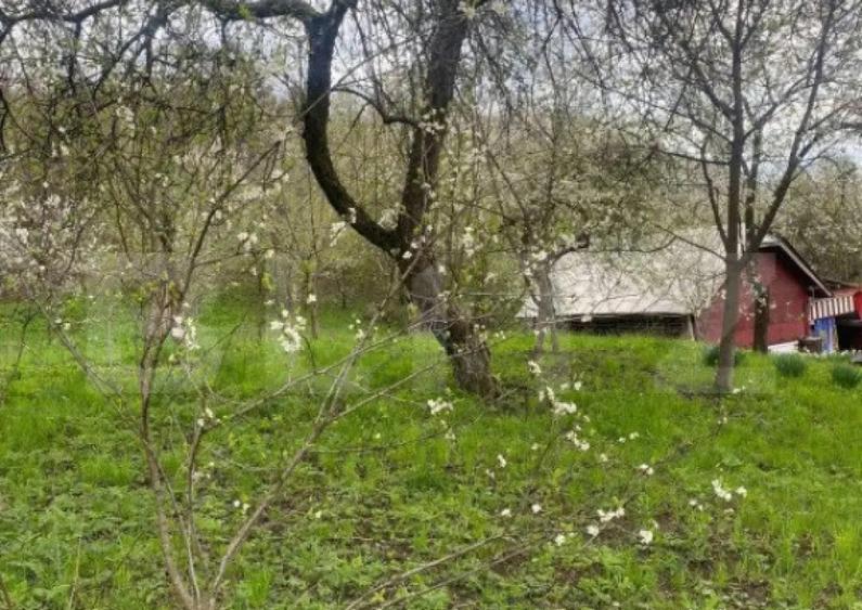 Teren 784 mp, Nistoresti, jud Prahova - 5