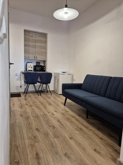 Studio/garsoniera de inchiriat ultracentral - 13