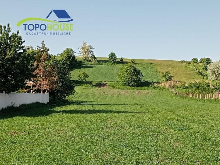 Teren de vanzare in Orasul Buhusi, zona Bulgarie - 2