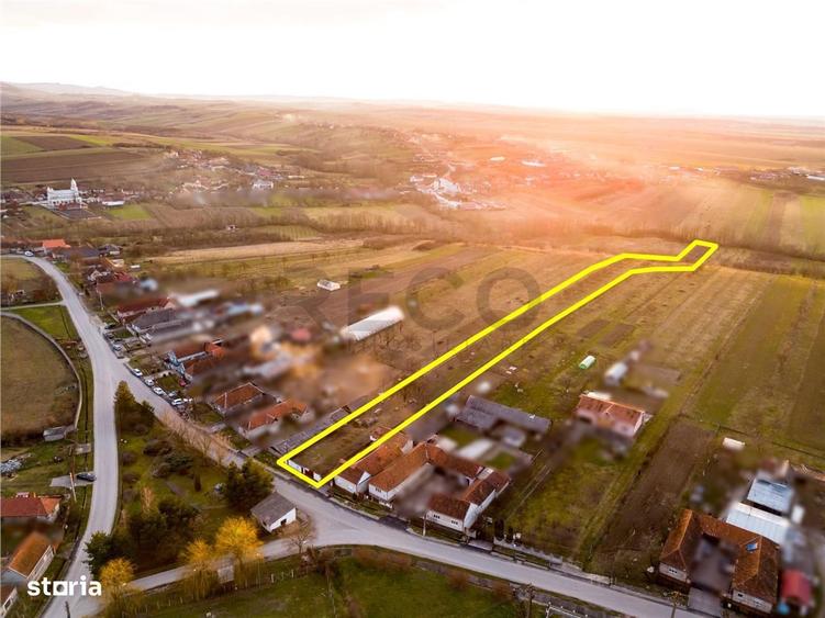 RECO Teren intravilan pentru loc de casa 5342 mp- sat.Hotar - 4