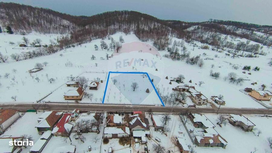 Teren intravilan, de vanzare in Dami?- Bratca pe Strada Principala 274 - 3