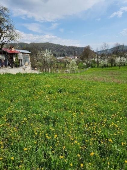 Teren vanzare in comuna Adunati - zona BREAZA - Prahova - 3