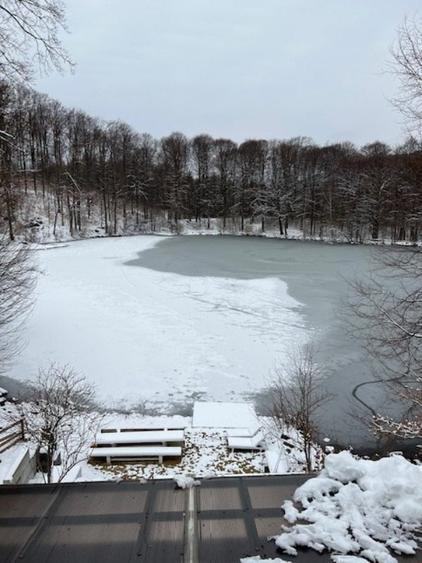 LAC MOGOSA, vila D+P+E+M cu 3ari teren! - 4