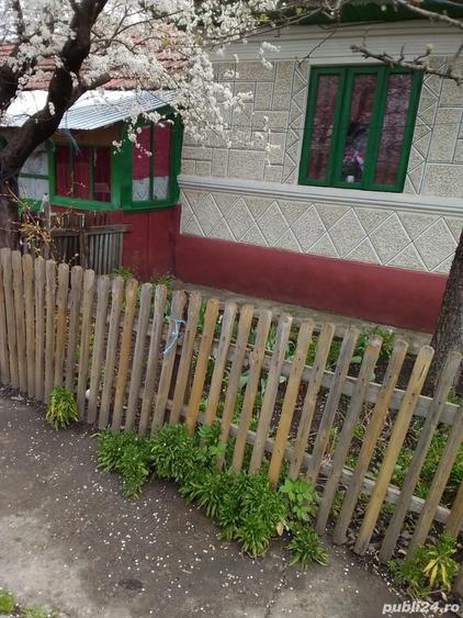 vand casa - 3