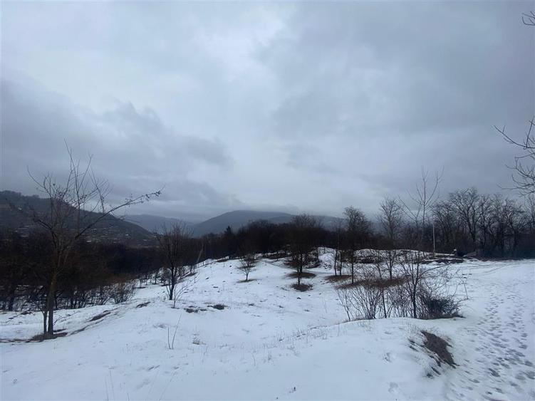 TEREN VALEA DOFTANEI - 3