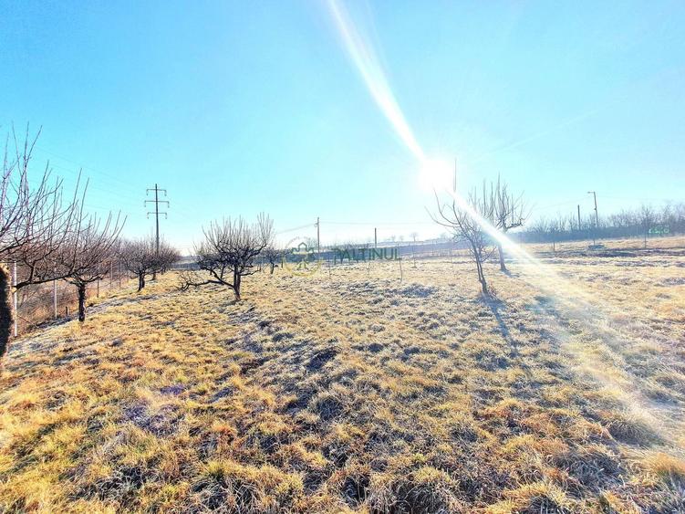 Descoperă Terenul Ideal: 390mp în Daia, Sibiu - 2