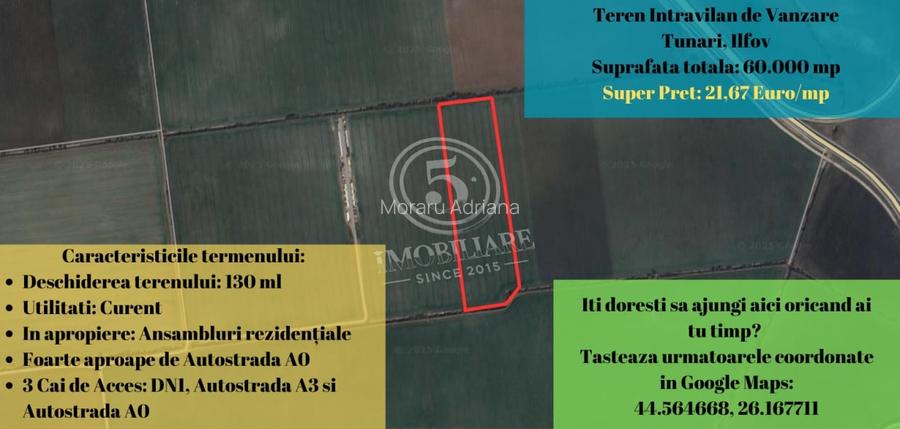 Tunari- Teren Intravilan de Vanzare- 21,67 Euro/mp