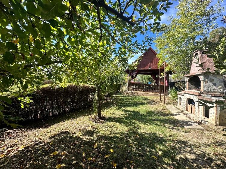 Vanzare vila superbă, P+1+Pod, Albota - 7