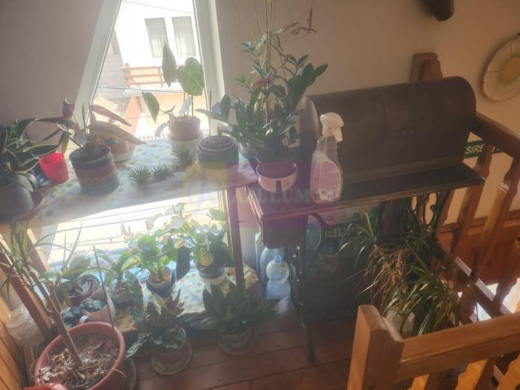 Vila de vacanta de vanzare in Busteni - Zona Zamora - 23