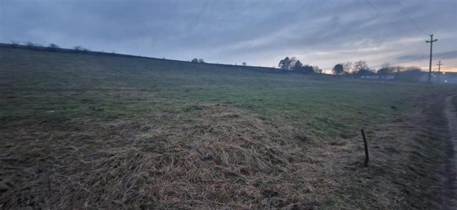 De vanzare teren 1,2 Ha in Laureni - 1