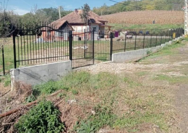 Casa spatioasa in Sanmihaiu de Campie - 12