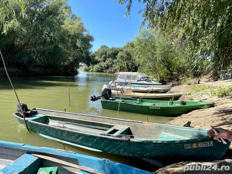 Teren de 8800 mp, în Pătlăgeanca