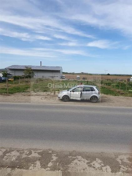 TEREN TOMESTI 1350 MP